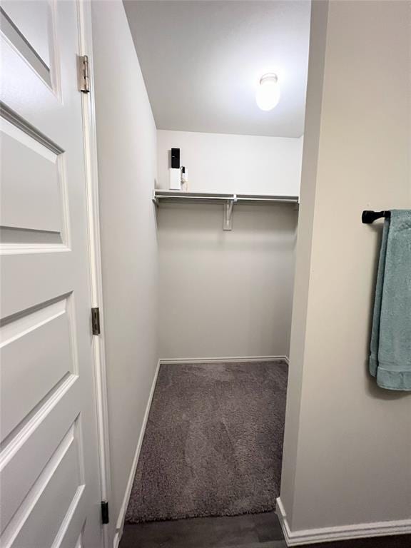 spacious closet featuring carpet flooring