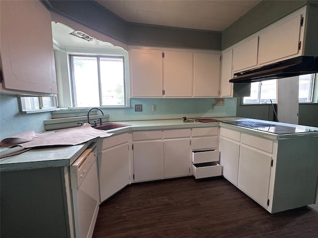 kitchen featuring white cabinets, a sink, dark wood-style flooring, white dishwasher, and under cabinet range hood