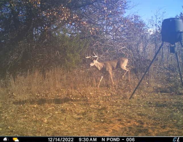 S 3410 Road, Chandler, OK 74834
