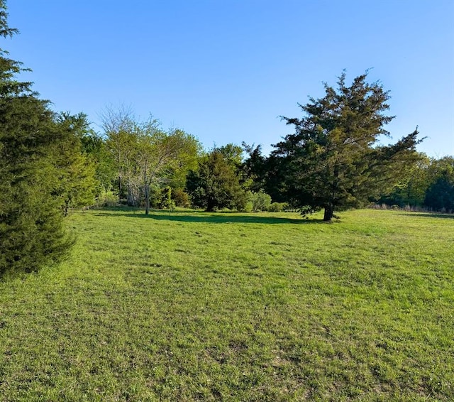 view of yard with a forest view
