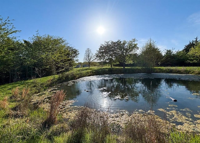 view of water feature