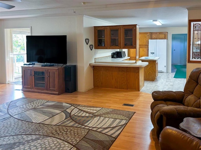 living room with ornamental molding, light wood-style floors, and visible vents