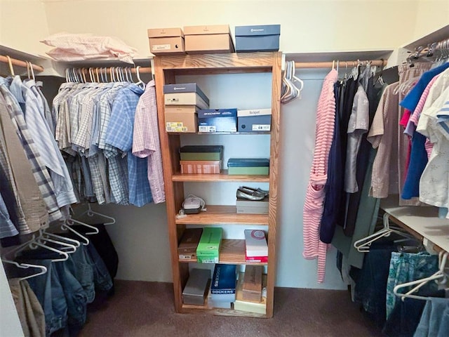 spacious closet featuring carpet