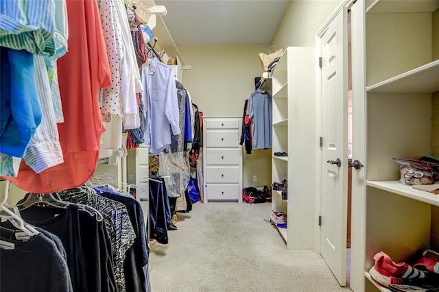 spacious closet with carpet floors