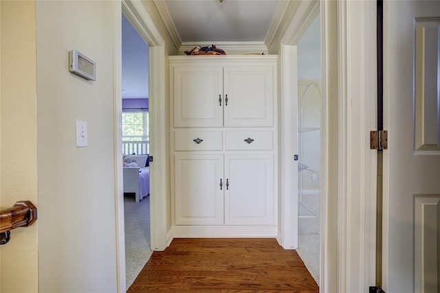 hallway with crown molding and dark wood-style flooring