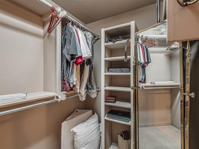 12304 N St Lukes Ln, Oklahoma City, OK 73142 - walk in closet with carpet