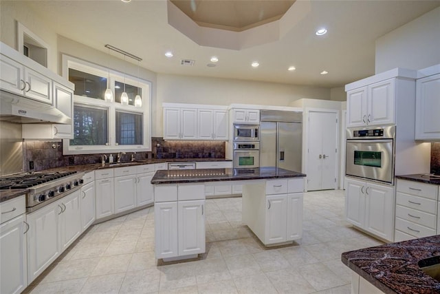 508 Manor Hill Ct, Norman, OK 73072 - kitchen with built in appliances, a center island, under cabinet range hood, tasteful backsplash, and a sink