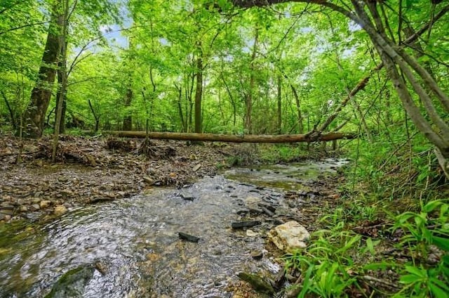 view of nature with a forest view