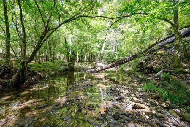 view of nature featuring a wooded view