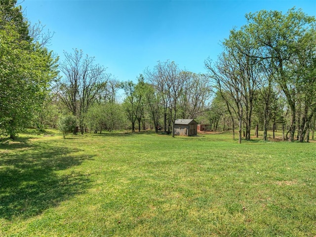 10711 Crystal Creek Dr, Mustang, OK 73064 - view of yard with an outdoor structure and a storage unit