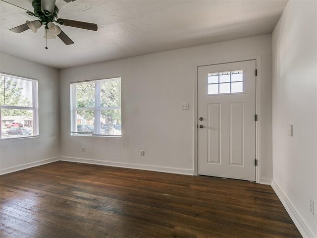 foyer entrance featuring baseboards, a wealth of natural light, and dark wood finished floors