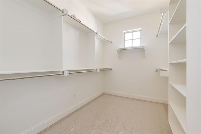view of walk in closet