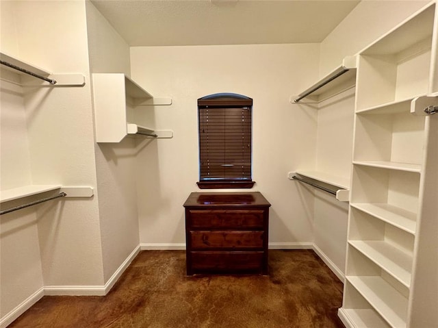 spacious closet featuring carpet floors