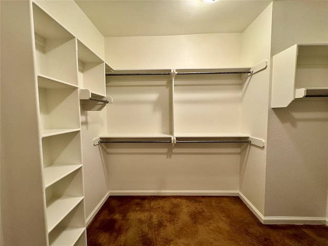 spacious closet featuring carpet