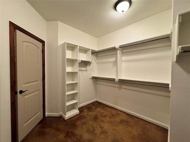 spacious closet featuring carpet flooring