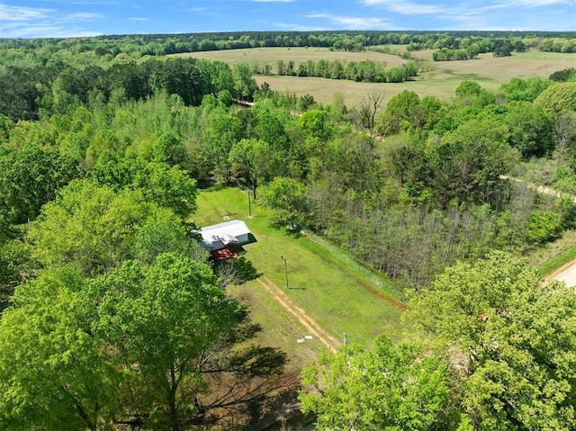 1067 Fox Pen Rd, Haworth, OK 74740 - photo 44