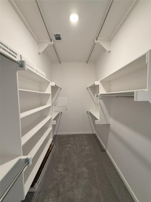 spacious closet with visible vents and carpet floors