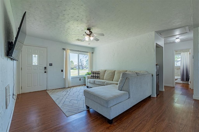living room featuring a ceiling fan, wood finished floors, and a textured ceiling