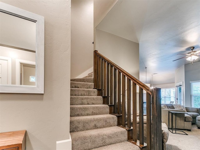 stairway with carpet flooring and a ceiling fan