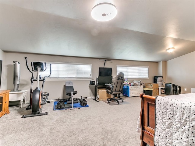 bedroom with multiple windows and carpet