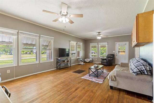 724 Maple St, Perry, OK 73077 - living room featuring a ceiling fan, a textured ceiling, wood finished floors, baseboards, and ornamental molding