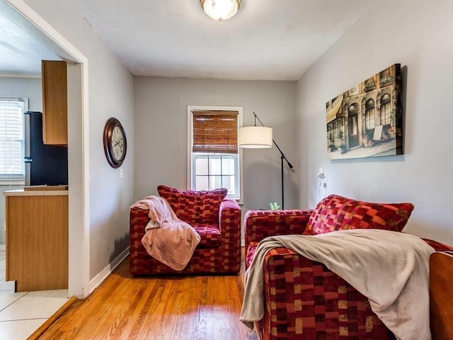 interior space with baseboards, light wood-type flooring, and a wealth of natural light