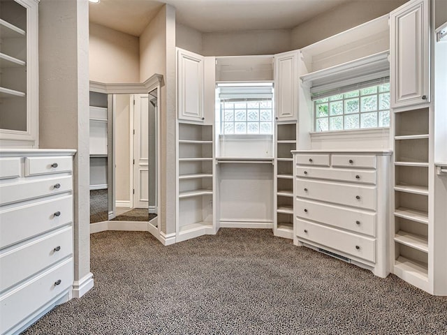 spacious closet with dark carpet