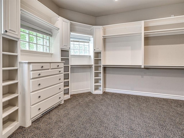 spacious closet with dark carpet