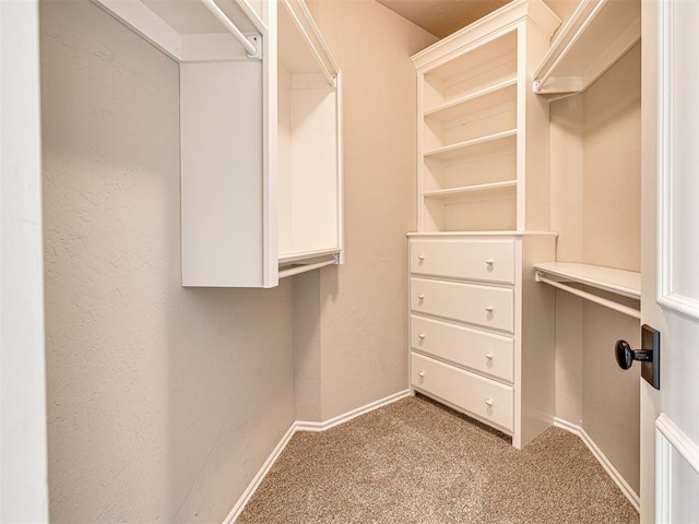 spacious closet featuring carpet
