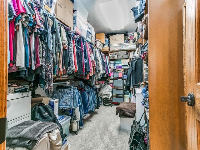 walk in closet featuring carpet flooring