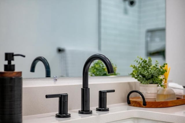 interior details featuring a sink