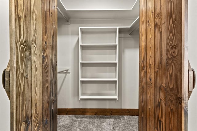 spacious closet featuring carpet flooring