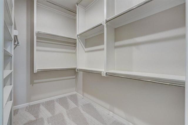 6508 NW 146th St, Oklahoma City, OK 73142 - walk in closet featuring carpet floors