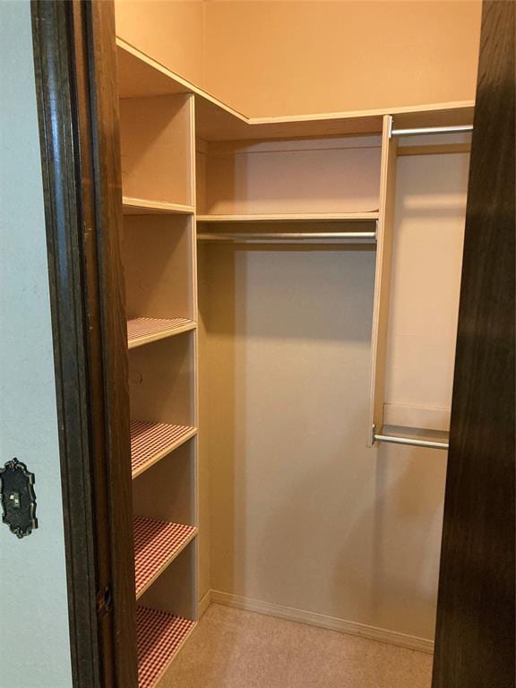 spacious closet featuring carpet floors