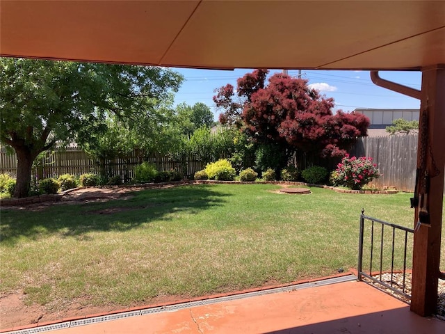 view of yard