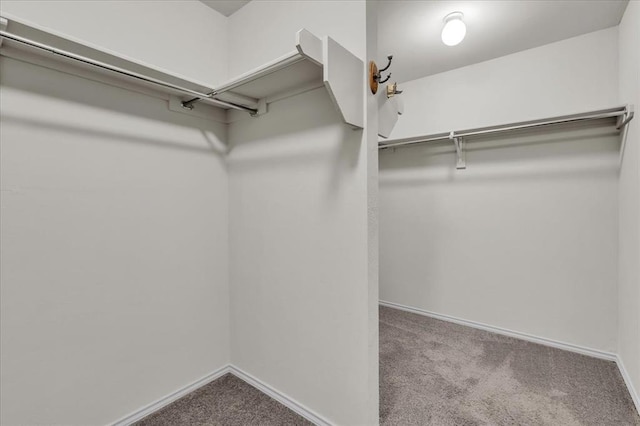 spacious closet with carpet floors