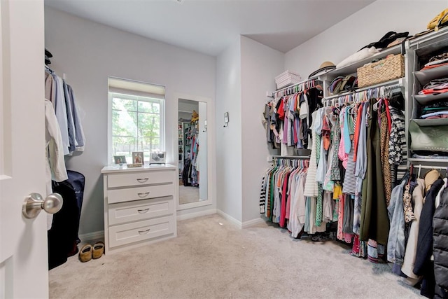 8350 Red Feather, Arcadia, OK 73007 - walk in closet with carpet floors