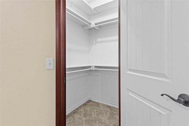 spacious closet with carpet