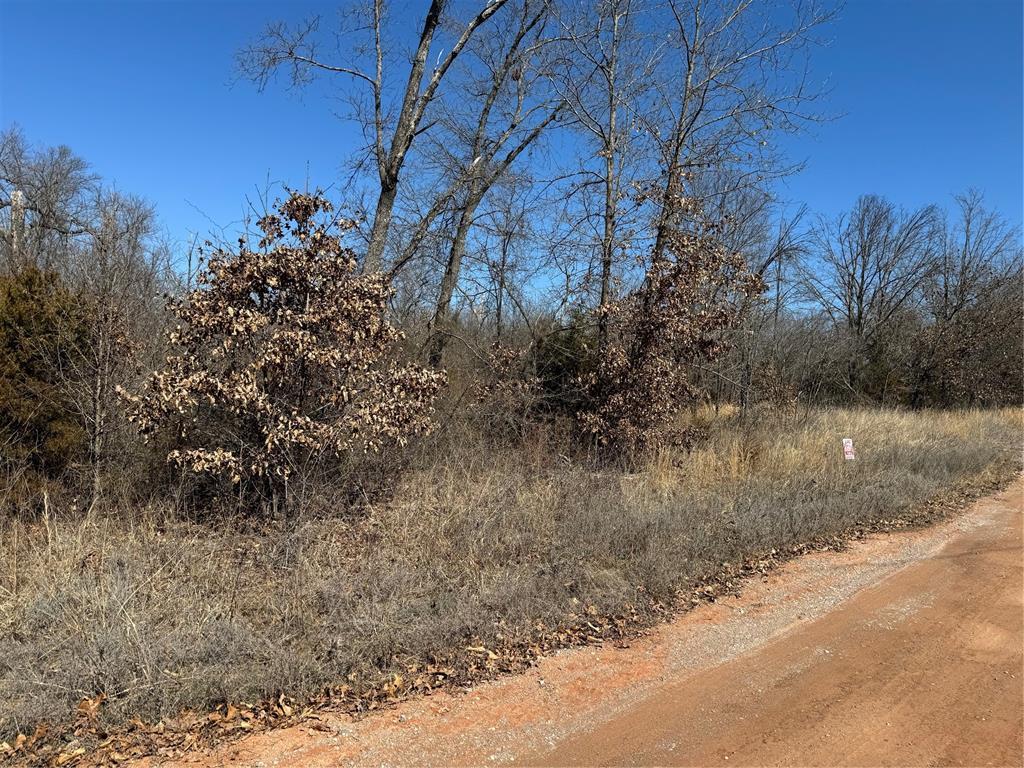31174 Palomino Rd, Tecumseh, OK 74873