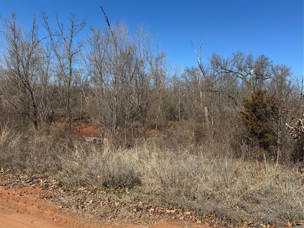 31174 Palomino Rd, Tecumseh, OK 74873
