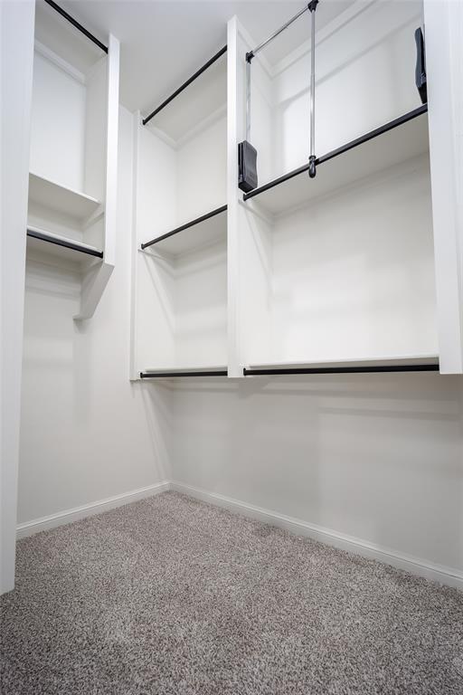 2909 SW 132nd St, Oklahoma City, OK 73170 - walk in closet with carpet flooring