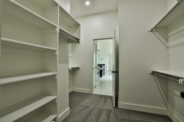 walk in closet with dark colored carpet