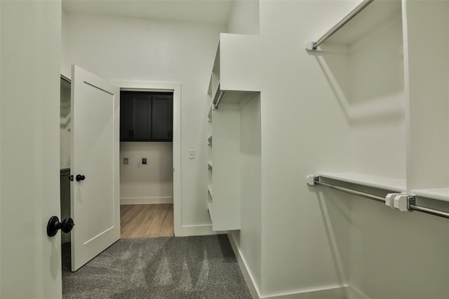walk in closet featuring carpet flooring