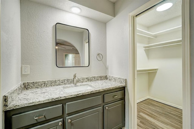bathroom featuring baseboards, a spacious closet, wood finished floors, and vanity