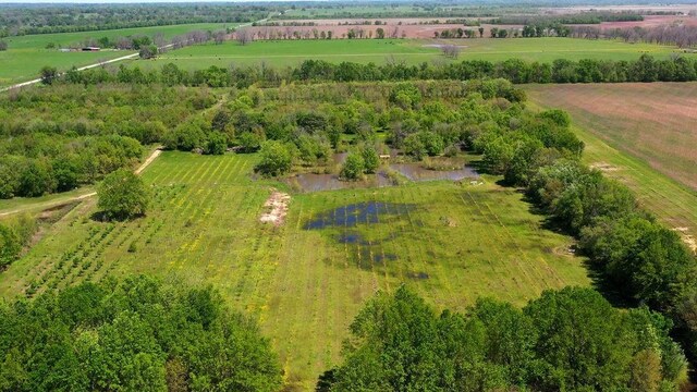 500 Tree Farm Rd, Garvin, OK 74736 - photo 5