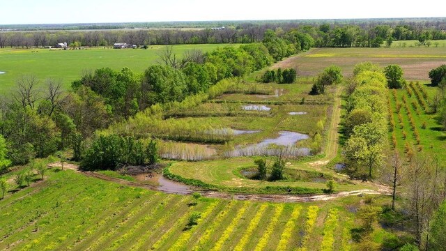 500 Tree Farm Rd, Garvin, OK 74736 - photo 9