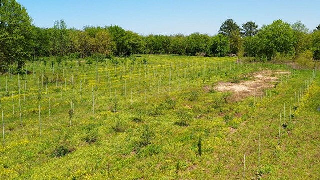 500 Tree Farm Rd, Garvin, OK 74736 - photo 16