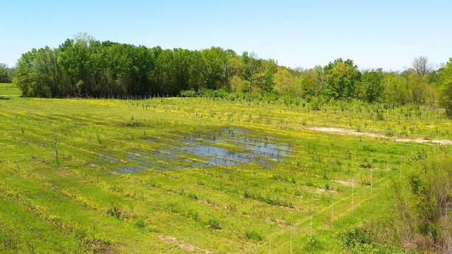 500 Tree Farm Rd, Garvin, OK 74736 - photo 17