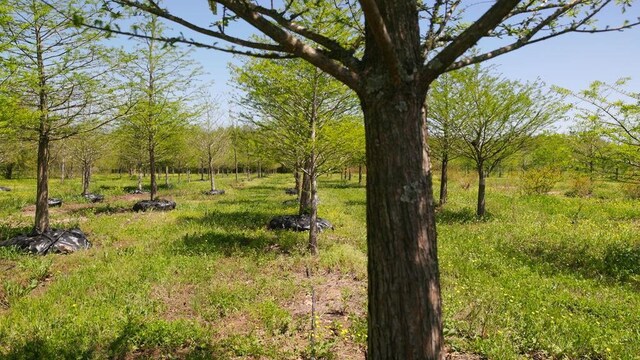 500 Tree Farm Rd, Garvin, OK 74736 - photo 24
