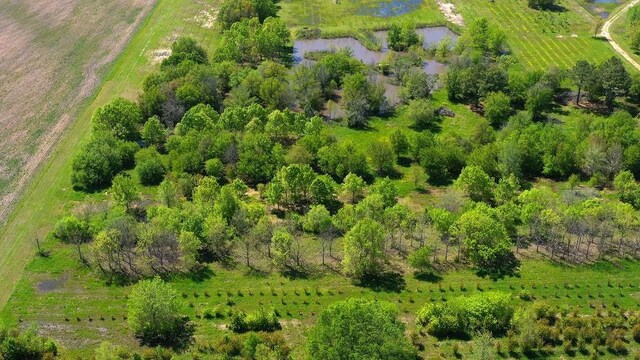 500 Tree Farm Rd, Garvin, OK 74736 - photo 27